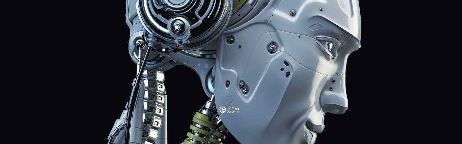 TinMan Systems origins and evolution